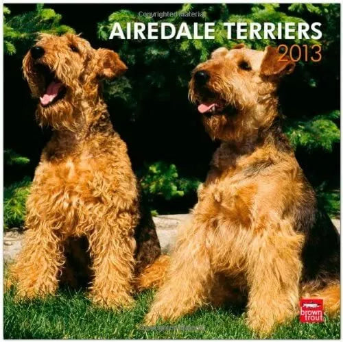 Browntrout 9781421697468 Airedale Terriers 2013 Square 12X12 Wall Calendar