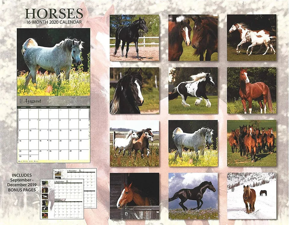 2020 Horses Full-Size Wall Calendar, 16-Month