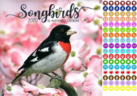 Songbirds - 16 Month 2020 Wall Calendar - with 100 Reminder Stickers