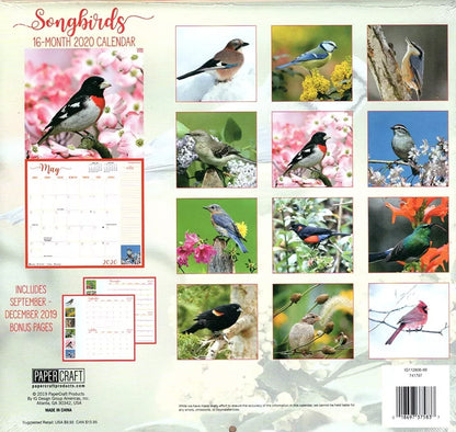 Songbirds - 16 Month 2020 Wall Calendar - with 100 Reminder Stickers
