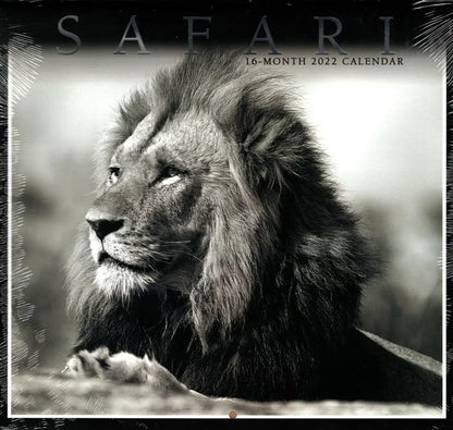 2022 16 Month Wall Calendar - Safari