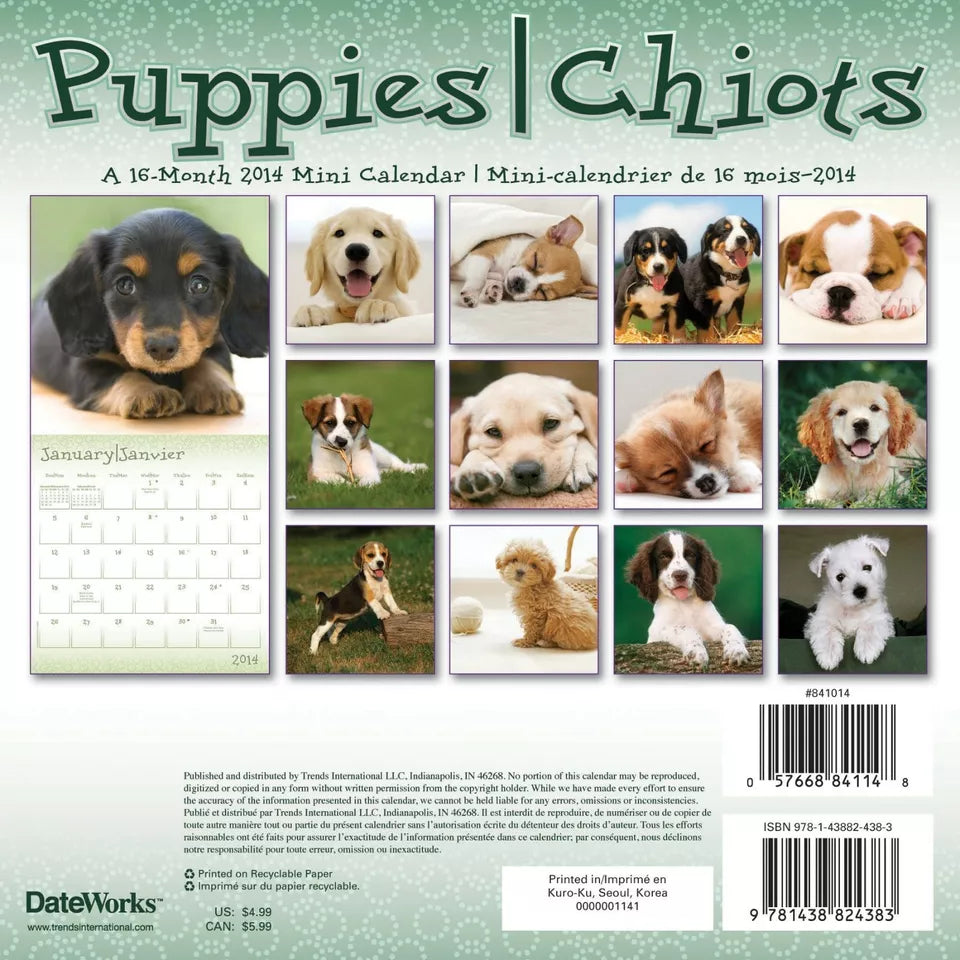 Puppies 2014 Bilingual Mini Calendar (English and French Edition)