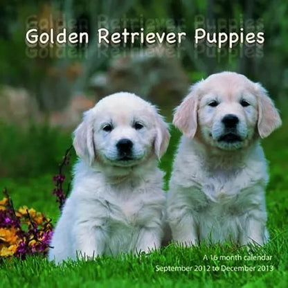 Golden Retriever Puppies 2013 Wall Calendar