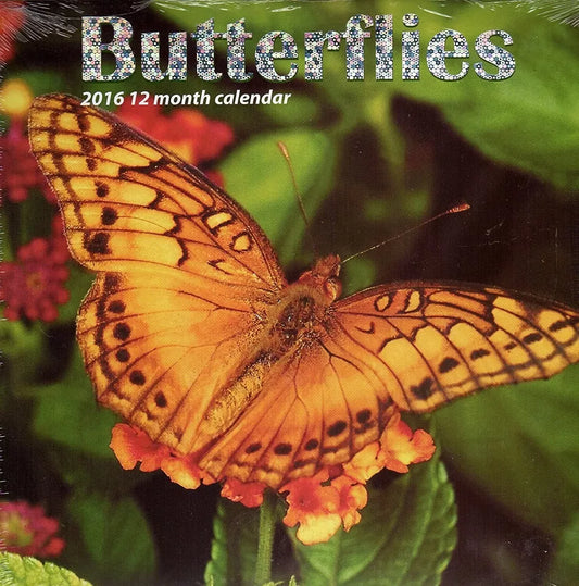 Butterflies - 2016-12 Month Wall Calendar