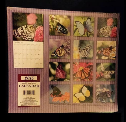 Butterflies, 2015 Calendar with miniature Birds calendar