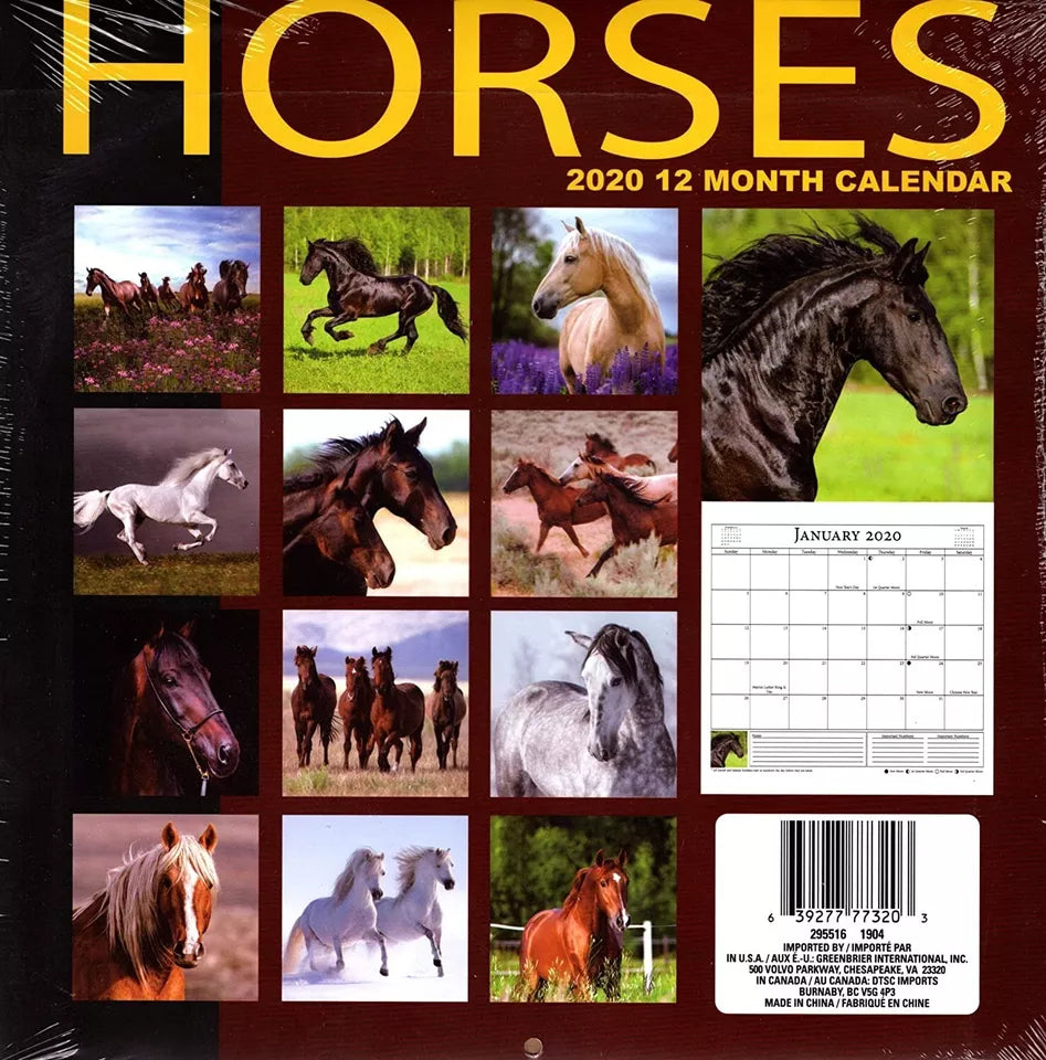 Horses - 12 Month 2020 Wall Calendar - with 100 Reminder Stickers