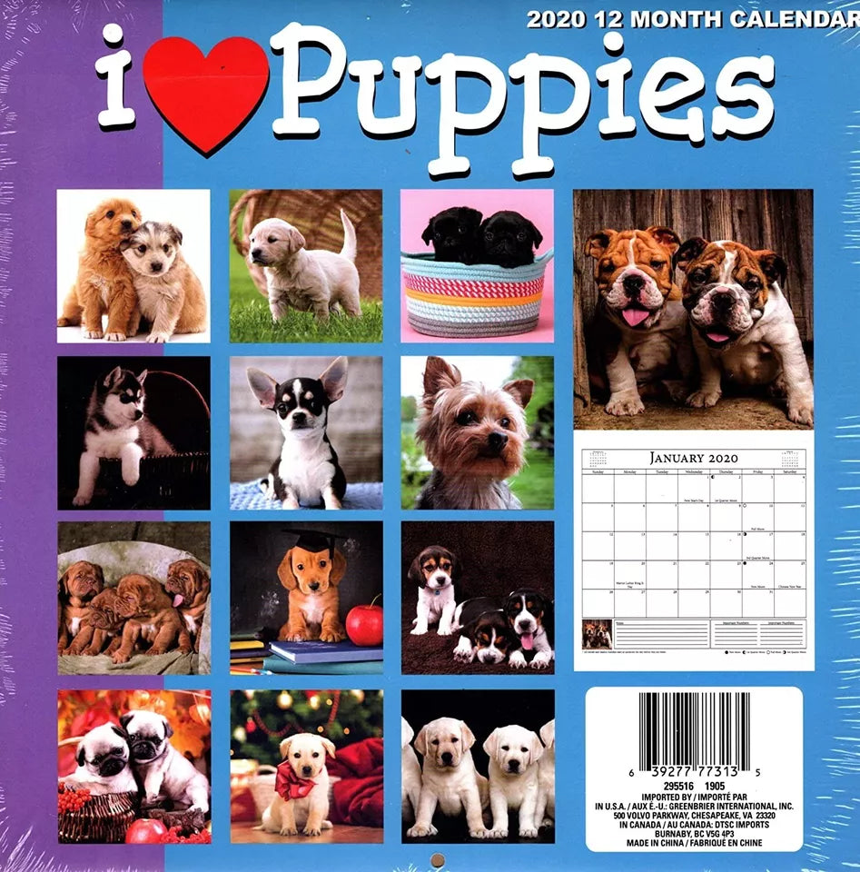 I Love Puppies - 12 Month 2020 Wall Calendar - with 100 Reminder Stickers