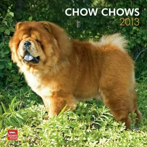 (12x12) Chow Chows - 2013 Wall Calendar