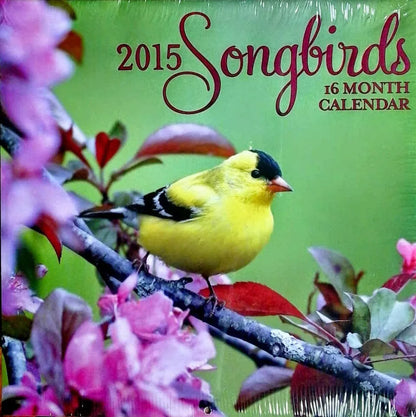 2015 Songbirds 16 Month Wall Calendar