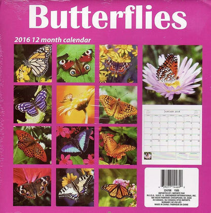 Butterflies - 2016-12 Month Wall Calendar