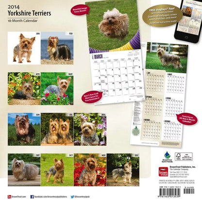 Yorkshire Terriers 2014 Wall Calendar