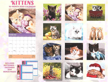 2020 Kittens Full-Size Wall Calendar, 16-Month