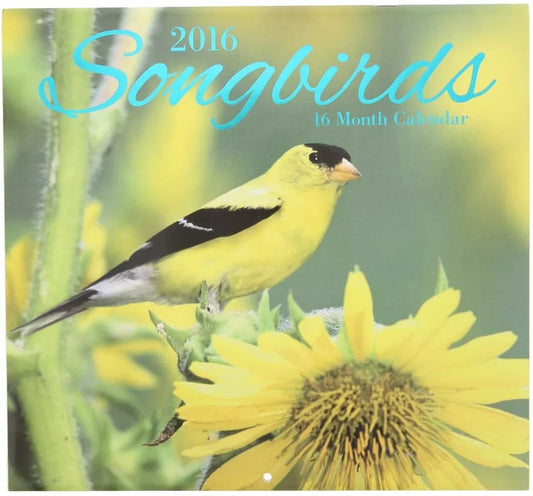 2016 Songbirds 16 Month Wall Calendar