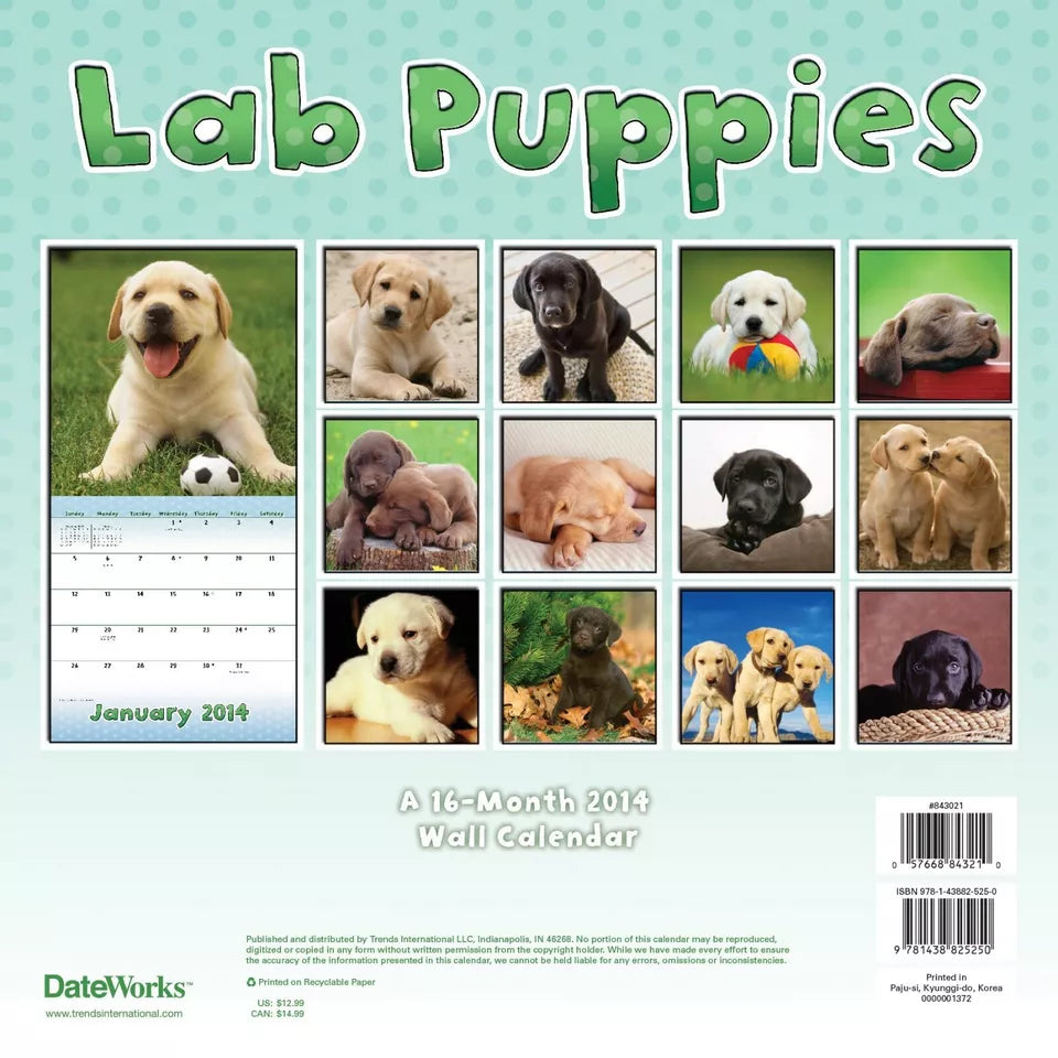 Lab Puppies 2014 Calendar