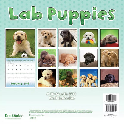 Lab Puppies 2014 Calendar