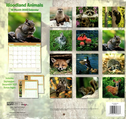 2022 16 Month Wall Calendar - Woodland Animals