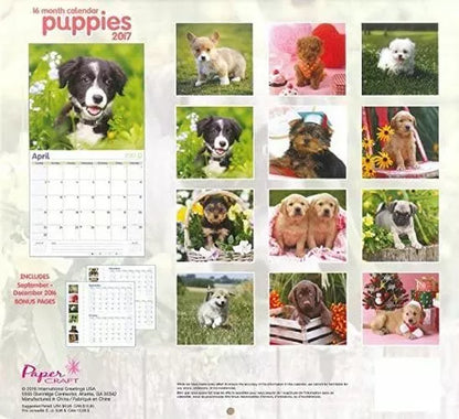Puppies 2017 Organizer Scheduler Appointment Book Wall Calendar (16 Month)