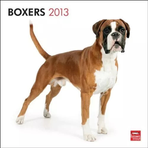 Boxers International 2013 Wall Calendar 12" X 12"