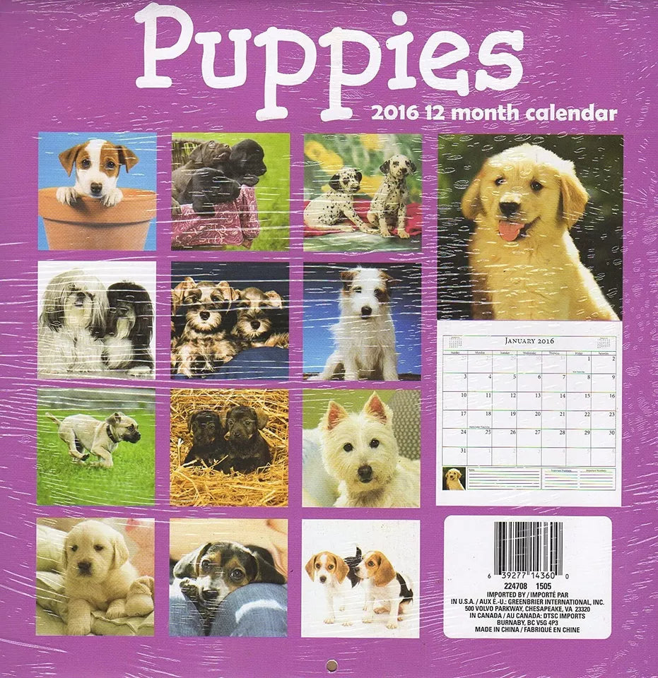 Puppies - 2016-12 Month Wall Calendar