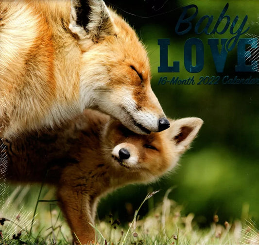 2022 16 Month Wall Calendar - Baby Love