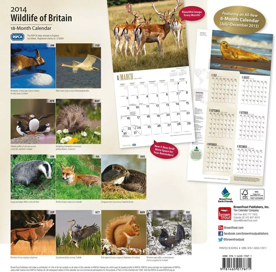 Wildlife of Britain (RSPCA) 2014 Wall Calendar