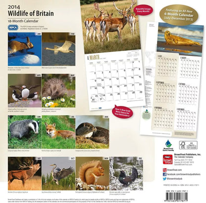Wildlife of Britain (RSPCA) 2014 Wall Calendar