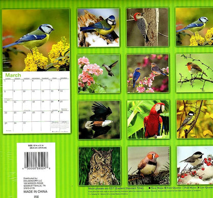Birds - 2015 16 Month Wall Calendar - 12x11