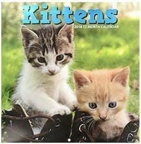Kittens 2018 12 Month Calendar