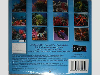 Under the Sea 16 Month 2014 Mini Wall Calendar
