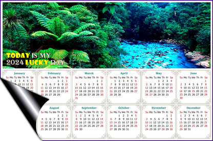 2024 Magnetic Calendar - Calendar Magnets - Today is My Lucky Day (Waipoua Kauri Reserve)
